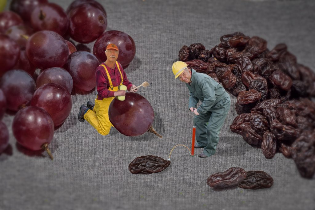 Two Whos From Whoville - Randy Bryan